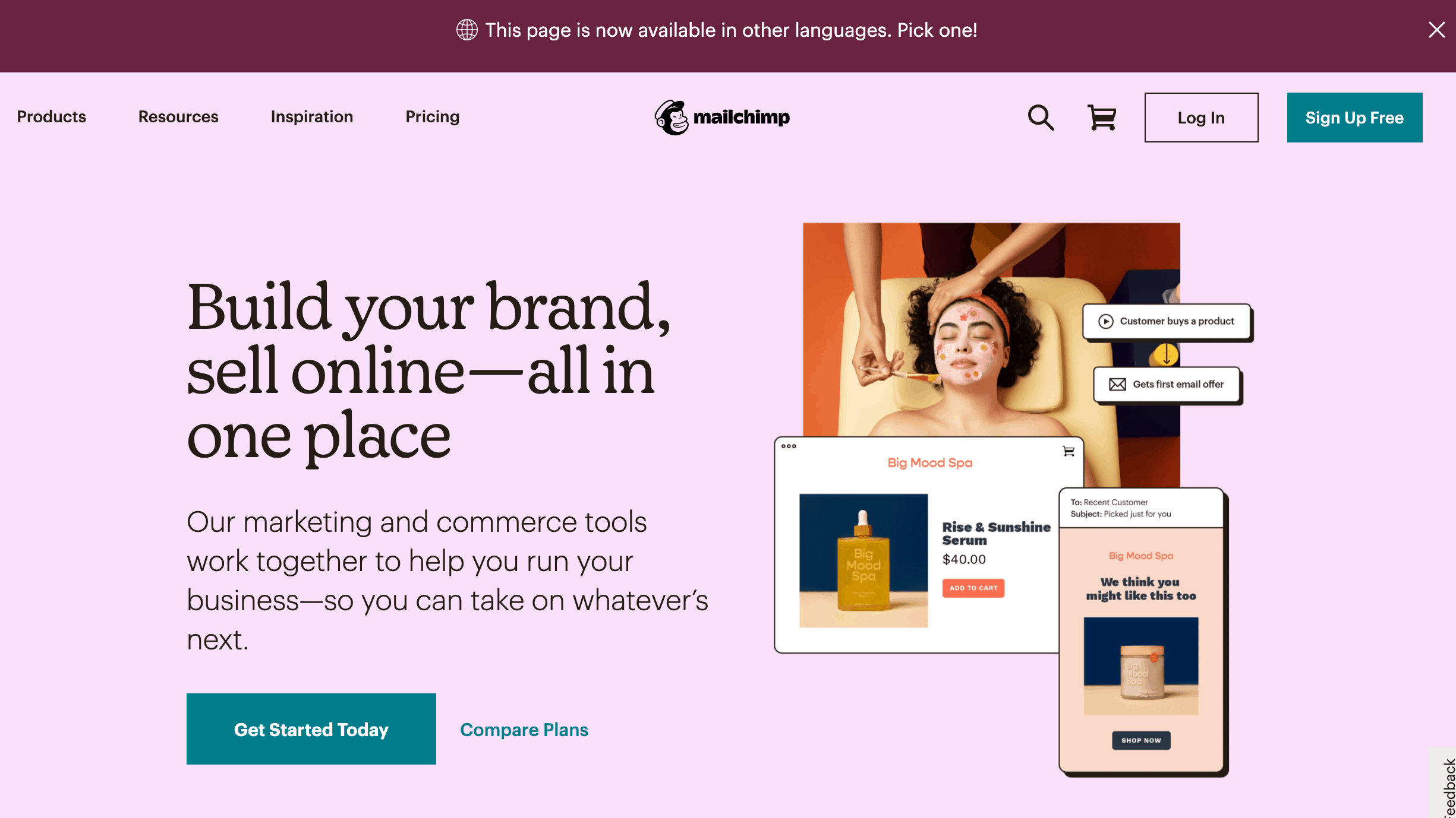 Mailchimp Home Page